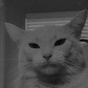 Meet your Posher, Eden